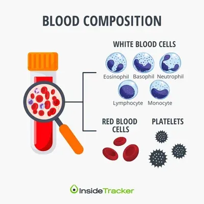 a blood test tube with blood and blood cells