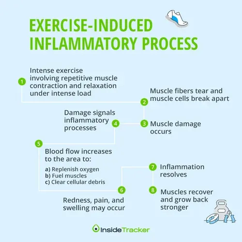 a diagram of how to use an inflamatory process