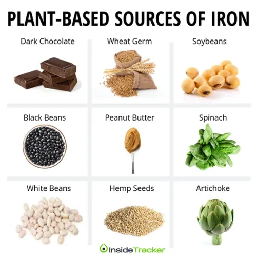 A bunch of different foods that are labeled in the words plant based sources of iron.