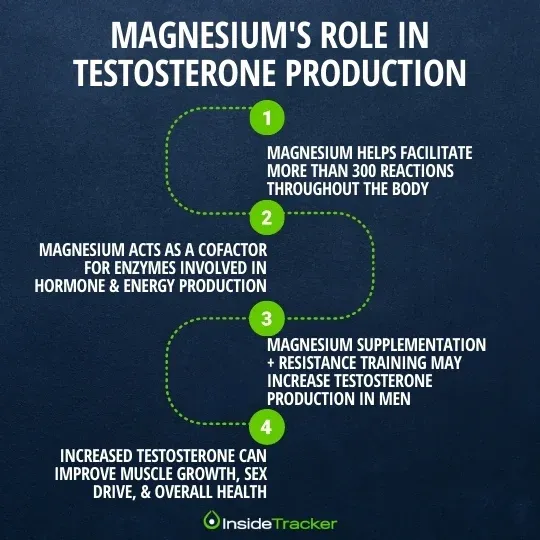 A diagram of magnesium's role in testosterone production