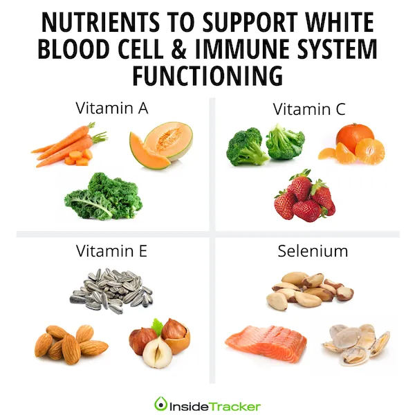 Four different types of food with the words vitamins to support white blood cell & immune system functioning - Is Inflammation Affecting Your Training and Recovery?