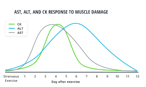 a line graph showing the amount of muscle damage