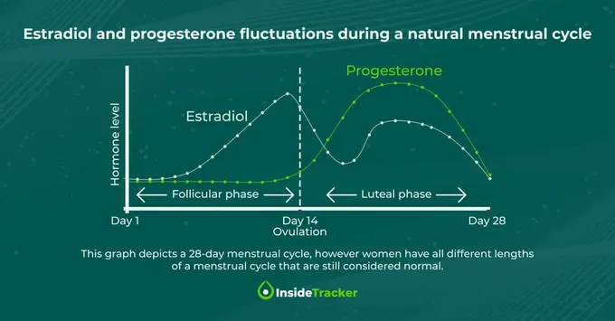 A graph showing the estradiol and progesterone fluctuations during a normal period cycle.