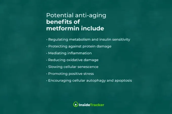 A green background with text describing potential anti-aging benefits of metformin.
