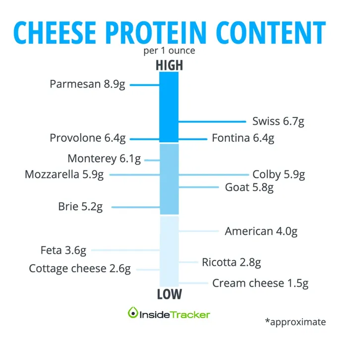 a diagram of cheese protein content